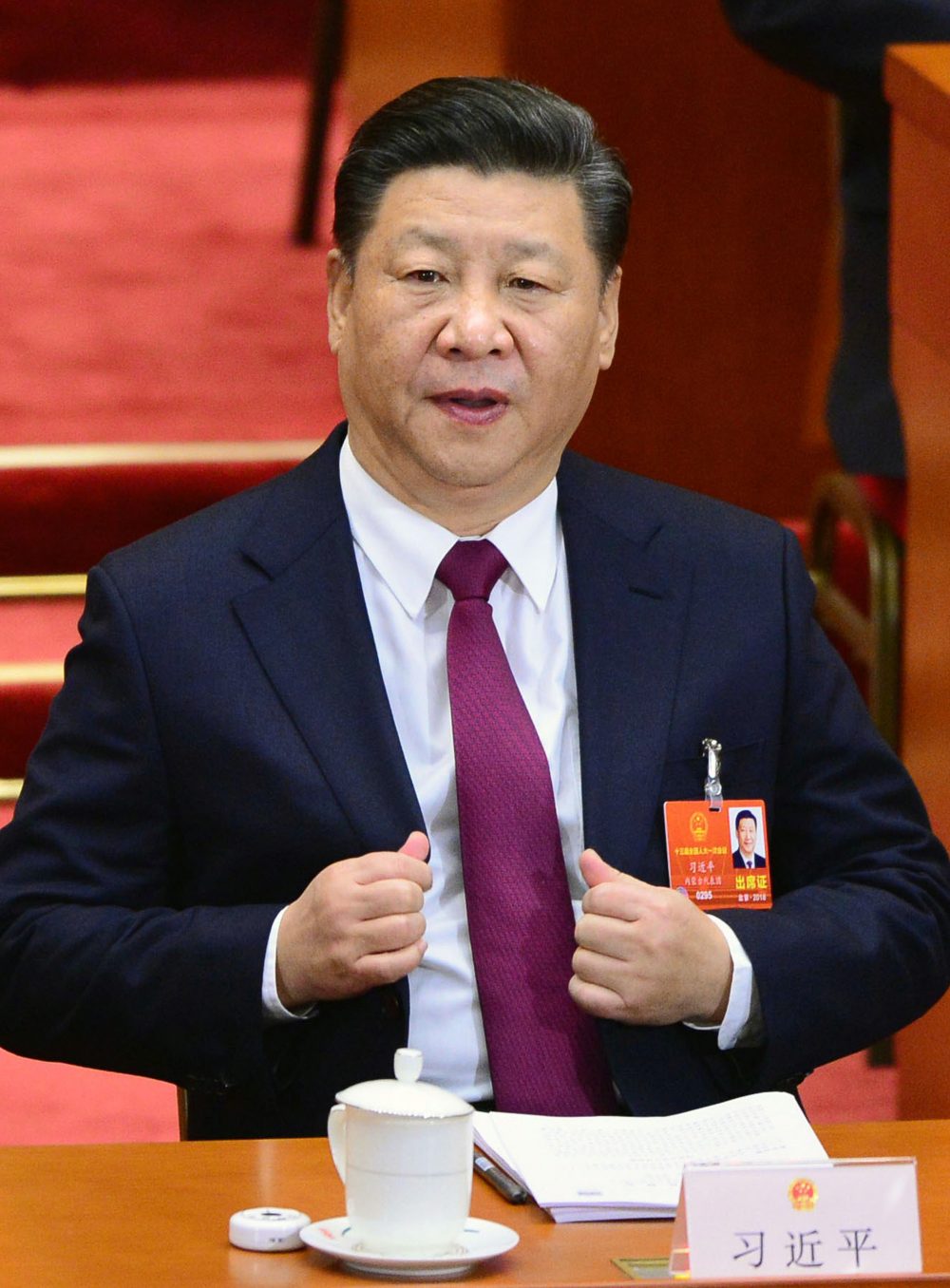 Chinas´ Xi Jinping